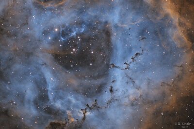 Bok Globules of The Rosette.jpg