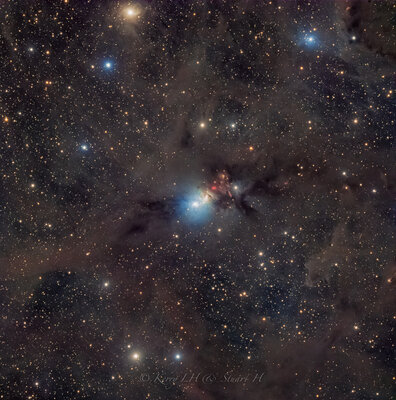 KerryLeckyHepburn_NGC1333_LRGB_SH_KLH1024.jpg