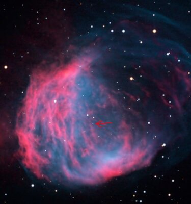 Medusa Nebula Central Star?