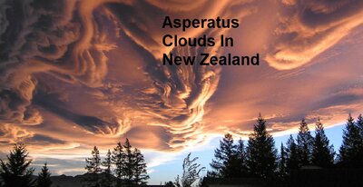 asperatus_priester_960.jpg