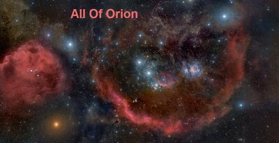 Orion2010_andreo600h.jpg
