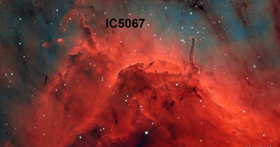 IC5067_vanvleet_960.jpg