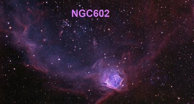 NGC602Web_goldman950.jpg