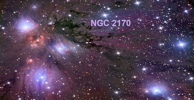 ngc2170_croman.jpg