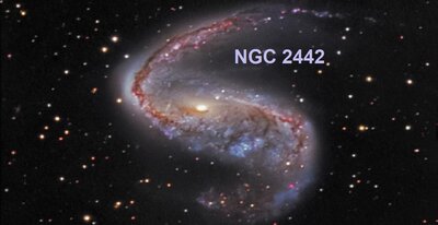 NGC2442_ssroGoldman720.jpg