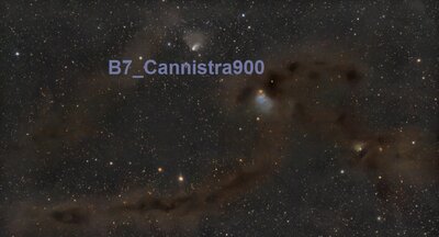 b7_cannistra900.jpg