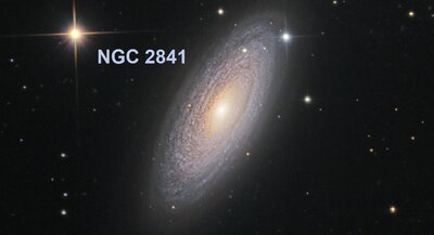 NGC2841cass50_schedler_c800.jpg