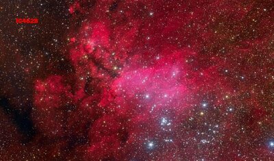 IC4628HaRGB_Lorenzi800.jpg