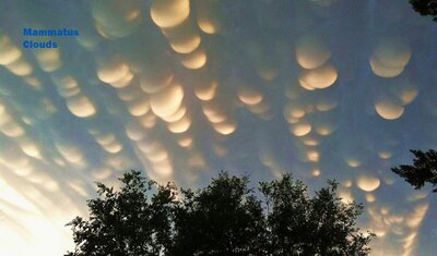 mammatus_lindsay_960.jpg