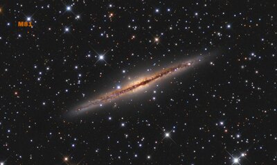 ngc891Franke.jpg