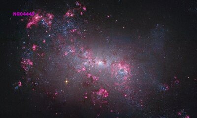 NGC4449_hlaGendlerL.jpg