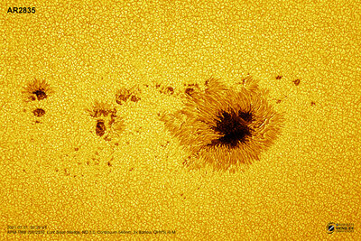 AR2835_20210701_W2x.jpg