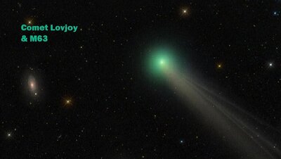 lovejoy1_peach_960.jpg