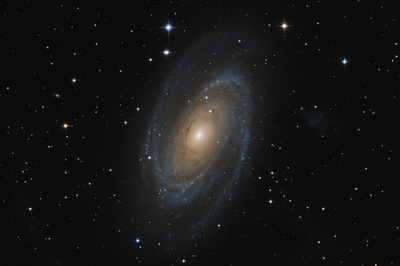 M 81