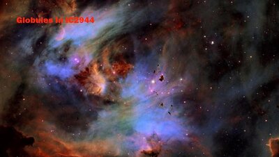 ic2944_vanderhaven_960.jpg