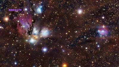 NGC2170-950.jpg