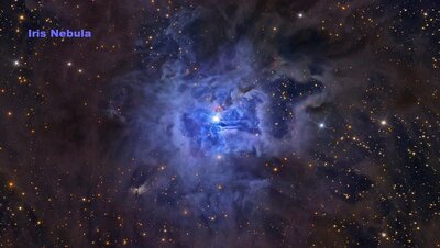 NGC7023Walker900.jpg