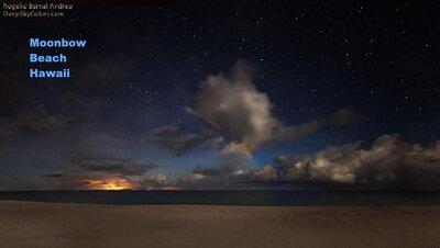 PapohakuBeach1_CropBow600h.jpg