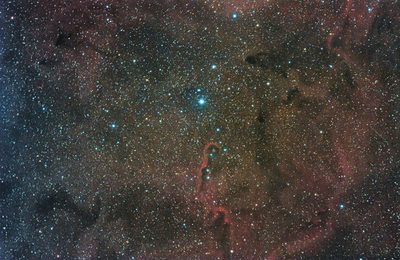 Elephant Trunk Nebula by Stephen Wilson.png