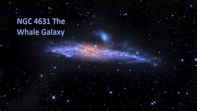 gabany-small_NGC4631_with_stream_and_new_satellites.jpg
