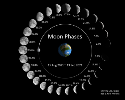 Moon Phases_2021.png
