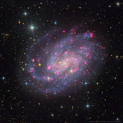 NGC 300 50-apod.jpg