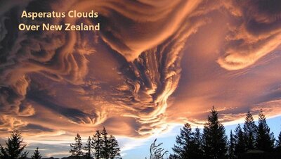 asperatus_priester_1024.jpg