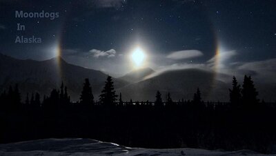 moondog_saarloos_960.jpg