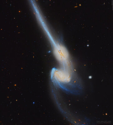 NGC4676_HubbleOstling_4555.jpg