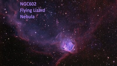 NGC602Web_goldman950.jpg