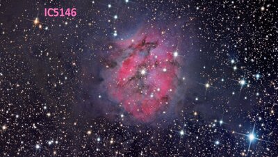 IC5146_fleming_c800.jpg