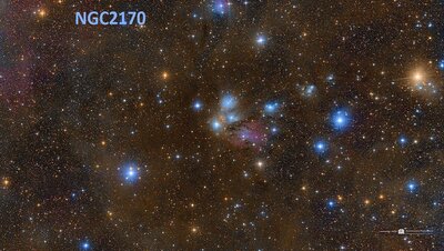 ngc2170_julio_960.jpg