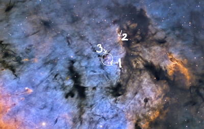 NGC 7822 ionizing stars Yizhou Zhang.png