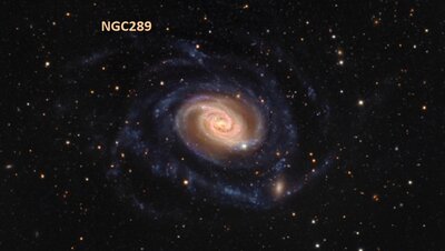 NGC289Selby1024.jpg