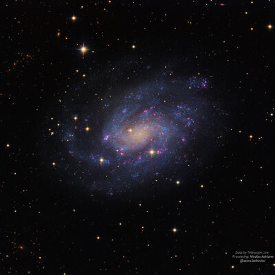 NGC300 TL LRGB CHI-1 Signed.jpg