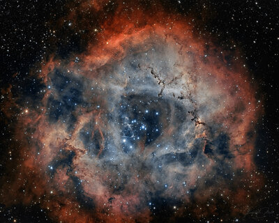 Rosette nebula in HOO