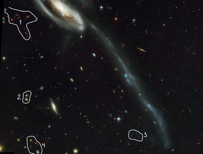 Tadpole background galaxies annotated.png