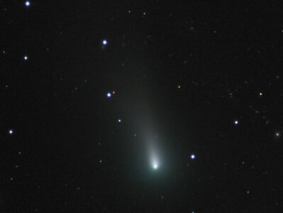Pavelchak_Comet Leonard_Nov82021_1019UT small.jpg