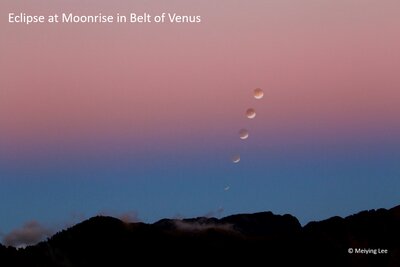 Eclipse at moonrise in Belt of Venus2.jpg