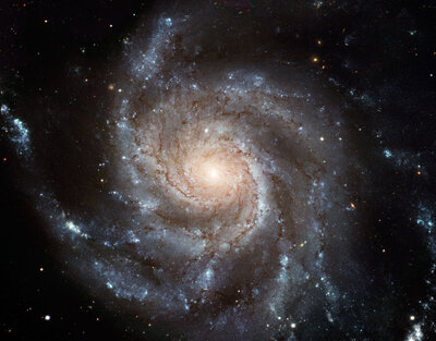M101_hst1280.jpg