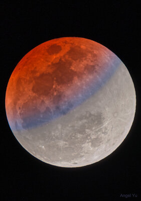 BlueRedMoon_Yu_960.jpg