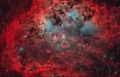 IC410-Girini-TommasoStellaCropped2021Web.jpg