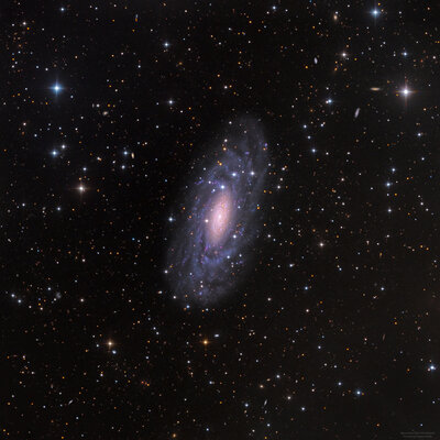 NGC 2090-Selby HansonsmallApod.jpg