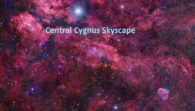 Cygnus-New-1024 (1).jpg