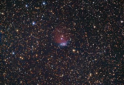 IC2966.jpg