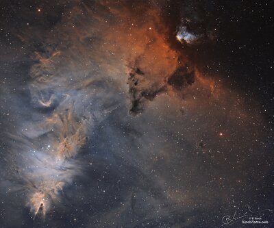 Cone Nebula to NGC 2259 .jpg