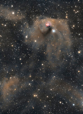 NGC1555texas2021_1094[1].jpg