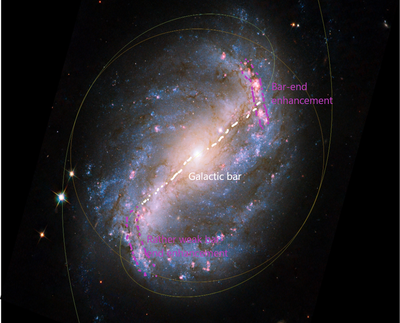 APOD February 21 2022 NGC 6217 annotated.png