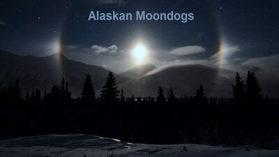 moondog_saarloos900.jpg
