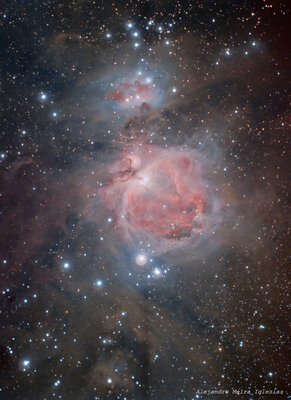 Orion22ene2022_imagen_final-2[1].jpg